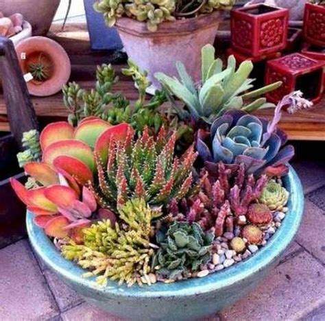 Awesome How To Plant Succulent Plants Outside Ideas