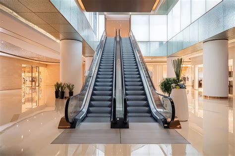 What is an Escalator and How Much Does It Cost？ - Dazen