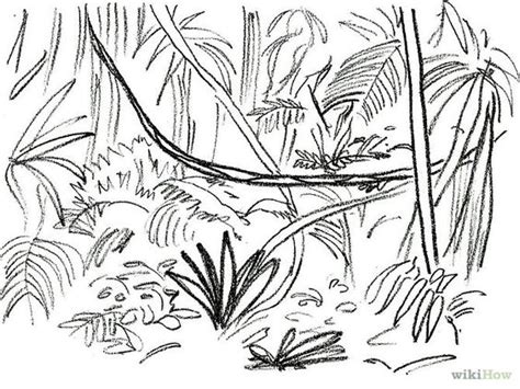 Jungle/rainforest plants drawing | Panther Tattoo Designs | Pinterest | Plant drawing, Jungles ...