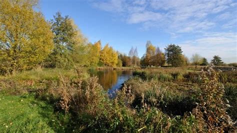 Nature reserves and woodlands in London - Open Space - visitlondon.com