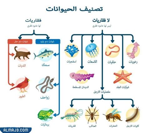 مطوية عن الحيوانات الفقارية واللافقارية - موقع المرجع