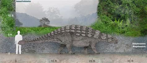 Ankylosaurus by SameerPrehistorica on DeviantArt