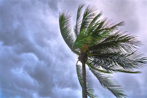 Thunderstorms Prompt Flash Flood Warning for Riverside County Desert ...