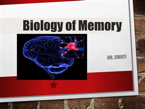 Neurobiology of memory | PPT