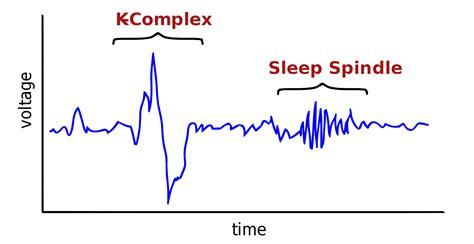 How To Increase Deep Sleep: 10 Benefits of Delta Brain Waves