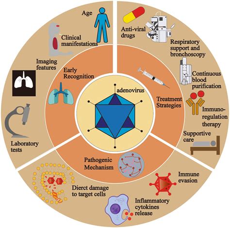 Adenovirus Classification