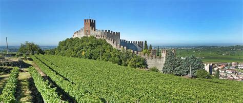 Veneto Wine Region Guide » Italian Wine Reions » CellarTours