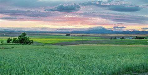 Grassy Fields and Lone Mountain at Sunset Photograph by Nate Hovee ...