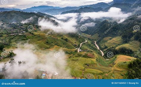 Rice Fields on Terraced Prepare the Harvest at Northwest Vietnam Stock ...