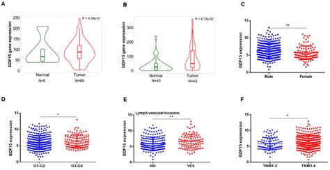 IJMS | Free Full-Text | Transcriptional Regulation of GDF15 by EGR1 Promotes Head and Neck ...