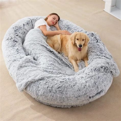 Build Your Comfortable Human Dog Bed in 10 Easy Steps