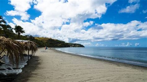 the beach is lined with lounge chairs and palm trees, under a partly ...