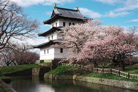 Sapporo: The City of the Fleeting Cherry Blossoms | Hokkaido Treasure ...