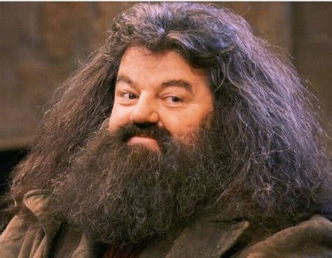 The Sad Truth About Rubeus Hagrid 😭 | Harry Potter Amino