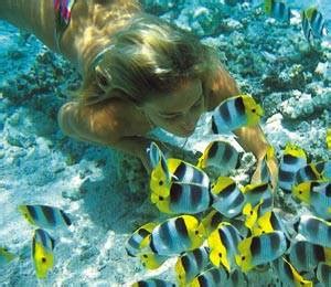 Grand Bahama Scuba Dive