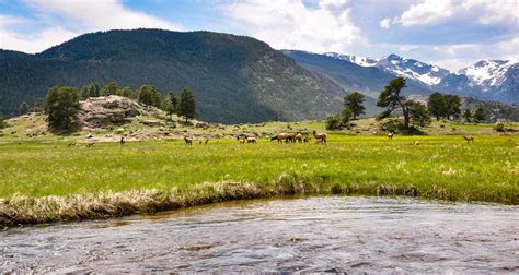 Hiking Trails Near Estes Park, Colorado - Day Hikes Near Denver