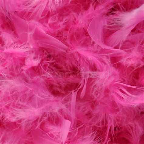 Bright pink feather boa stock image. Image of magenta - 43478495