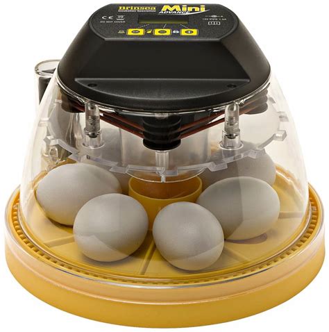 Tips to Set Up Your Egg Incubator for Perfect Hatching | Little Fields Farm -- Little Fields ...