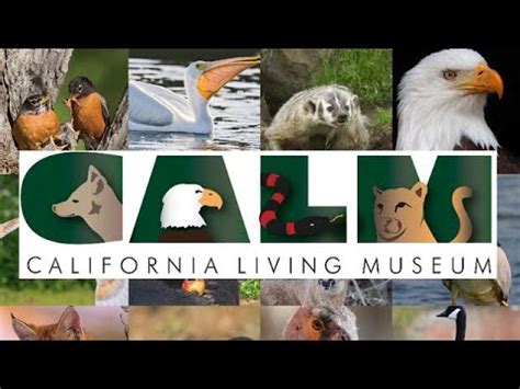 The California Living Museum - YouTube