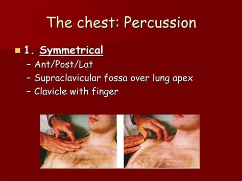 What Is The Purpose Of Chest Percussion at Matthew Schuette blog