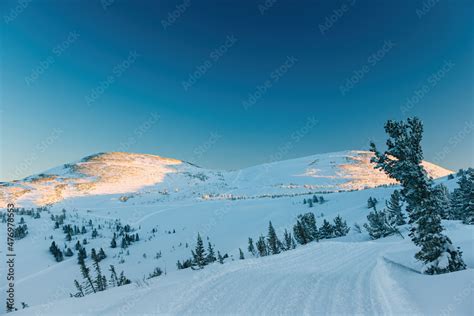 Snowcat tracks on a ridge covered with fir trees in Sheregesh in winter Stock Photo | Adobe Stock