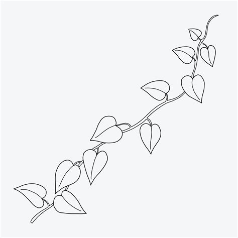 Floral ivy drawing decorative ornament flat design. 22743705 Vector Art at Vecteezy