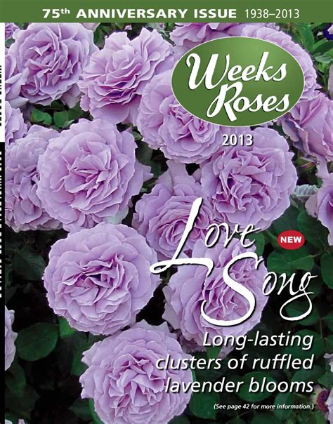 Weeks Roses 2013 Catalog by Kelly Carl - Issuu