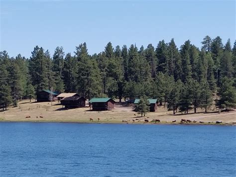 Hawley Lake Campground | AZoffroading.com