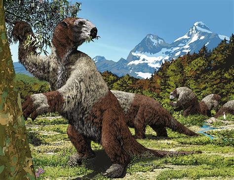 Megatherium Photograph by Jaime Chirinos/science Photo Library