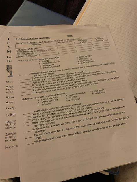 Active And Passive Transport Worksheet – Pro Worksheet