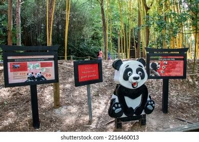 25 Zoo Atlanta Panda Images, Stock Photos, 3D objects, & Vectors ...