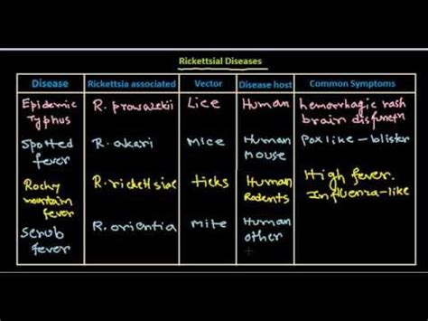 Rickettsial disease - YouTube