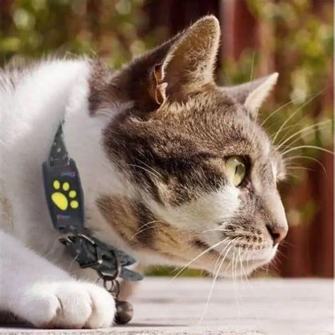 Smart Cat GPS Tracker Collar