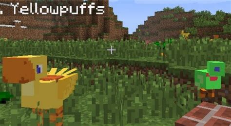 Chococraft for Minecraft 1.20.5, 1.19.4, 1.18.2, 1.17.1