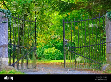 Wrought-iron entrance gate to an old cemetery Stock Photo - Alamy