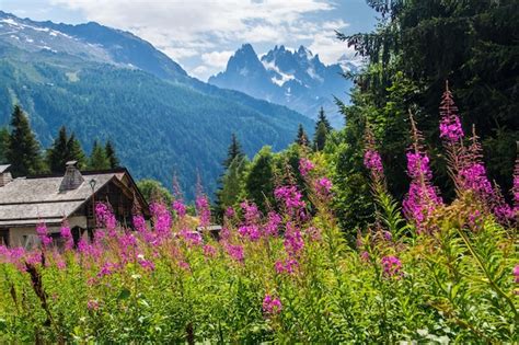 Premium Photo | Landscape of the alps in france in summer