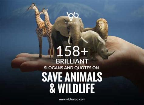 159+ Catchy Save Animals & Wildlife Conservation Slogans & Quotes ...