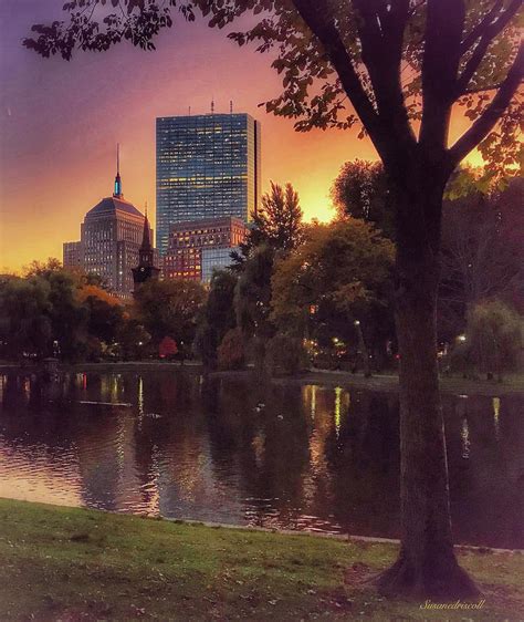 Fall Evening in the Boston Publc Gardens Photograph by Susan Driscoll ...