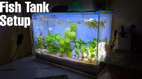 Planted Fish Tank Setup | Planted Aquarium - YouTube