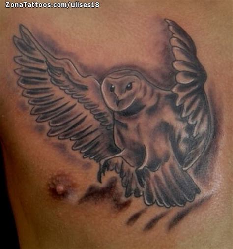 Tatuaje de Lechuzas, Aves, Animales