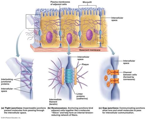 Pin on bio-channels