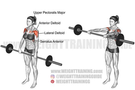 Barbell front raise exercise instructions and video | weighttraining.guide