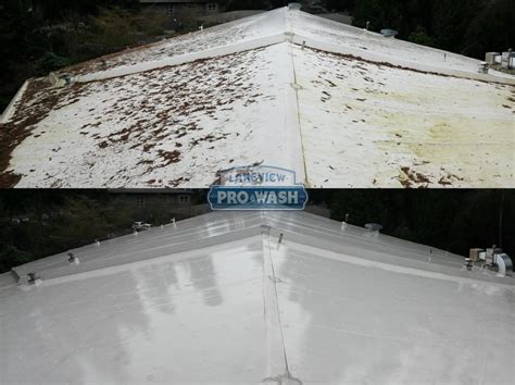 How Much Does a Pressure Wash Roof Cost | Lakeview Pro Wash