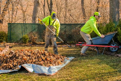 Landscape Maintenance - Lawn Mowing and Garden Services