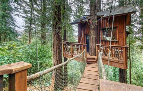 8 Beautiful California Treehouse Rentals You Can Book Now