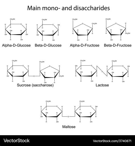 Monosaccharides Structure