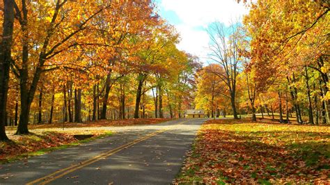 6 Best Fall Foliage Drives in Western Pennsylvania