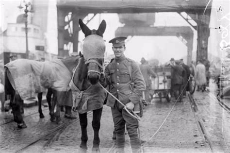 31 Historical Photos of the Irish War of Independence (1919-1921 ...