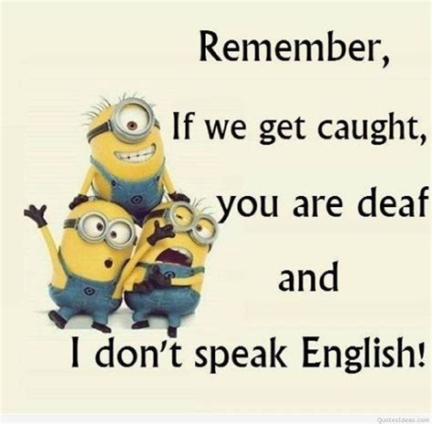 Funny minions cartoons quotes on images