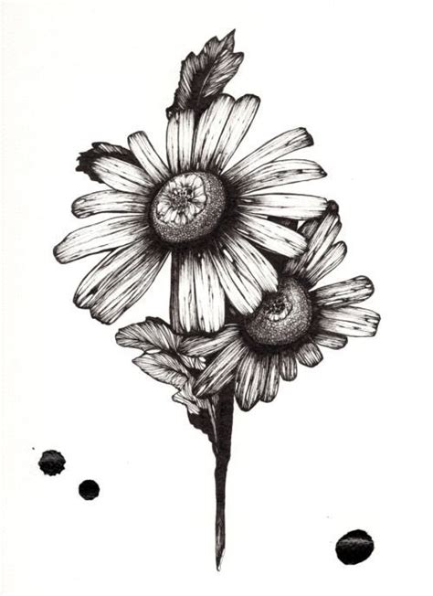 Daisy tattoo designs, Daisy tattoo, White daisy tattoo